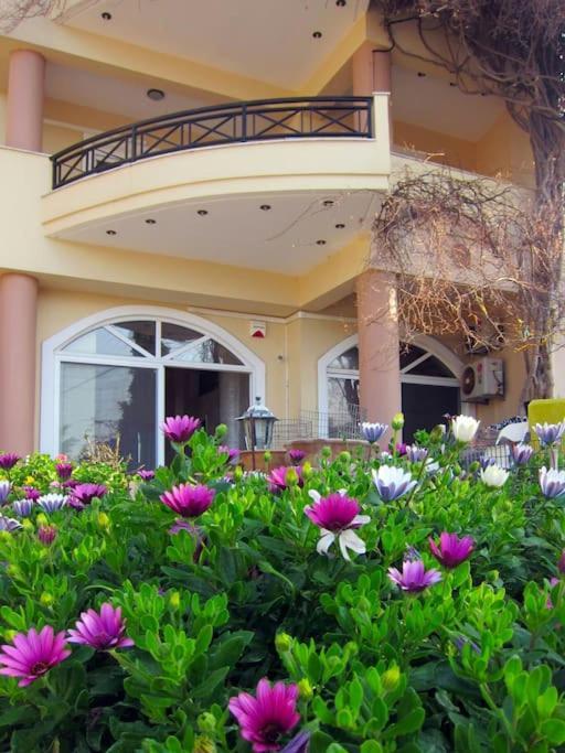 Lenico Beachfront Suites Agia Pelagia Kythira المظهر الخارجي الصورة