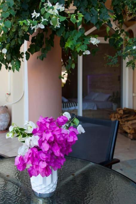 Lenico Beachfront Suites Agia Pelagia Kythira المظهر الخارجي الصورة