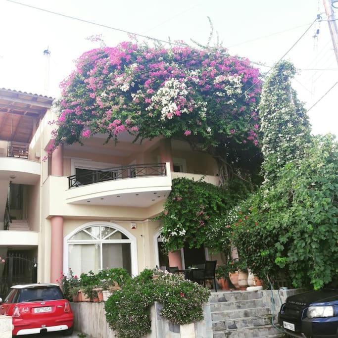 Lenico Beachfront Suites Agia Pelagia Kythira المظهر الخارجي الصورة
