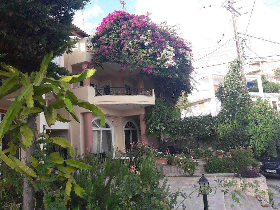 Lenico Beachfront Suites Agia Pelagia Kythira المظهر الخارجي الصورة